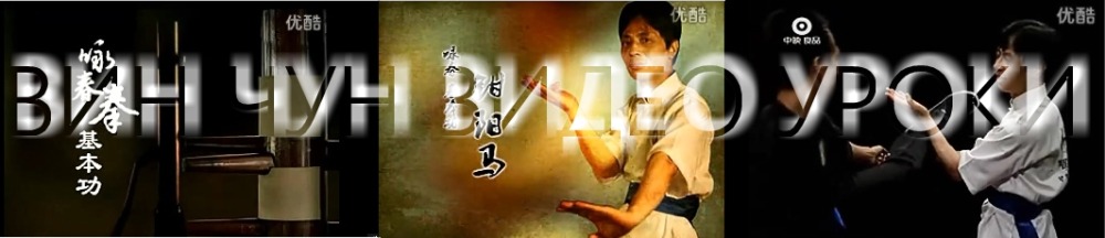 вин чун видео уроки
