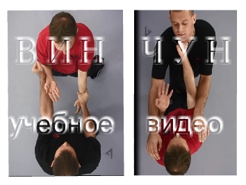 вин чун сифу нико видео уроки